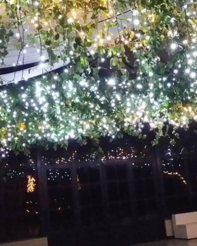 Natale-pioggia-di-luci