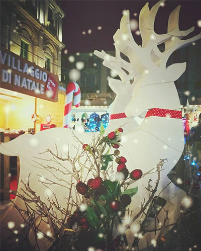 Natale-renne